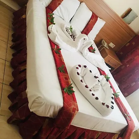 Elit Koseoglu